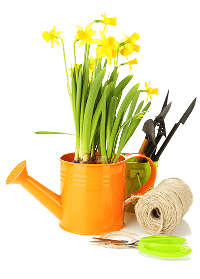Image_06-1.png Image_06-1.png